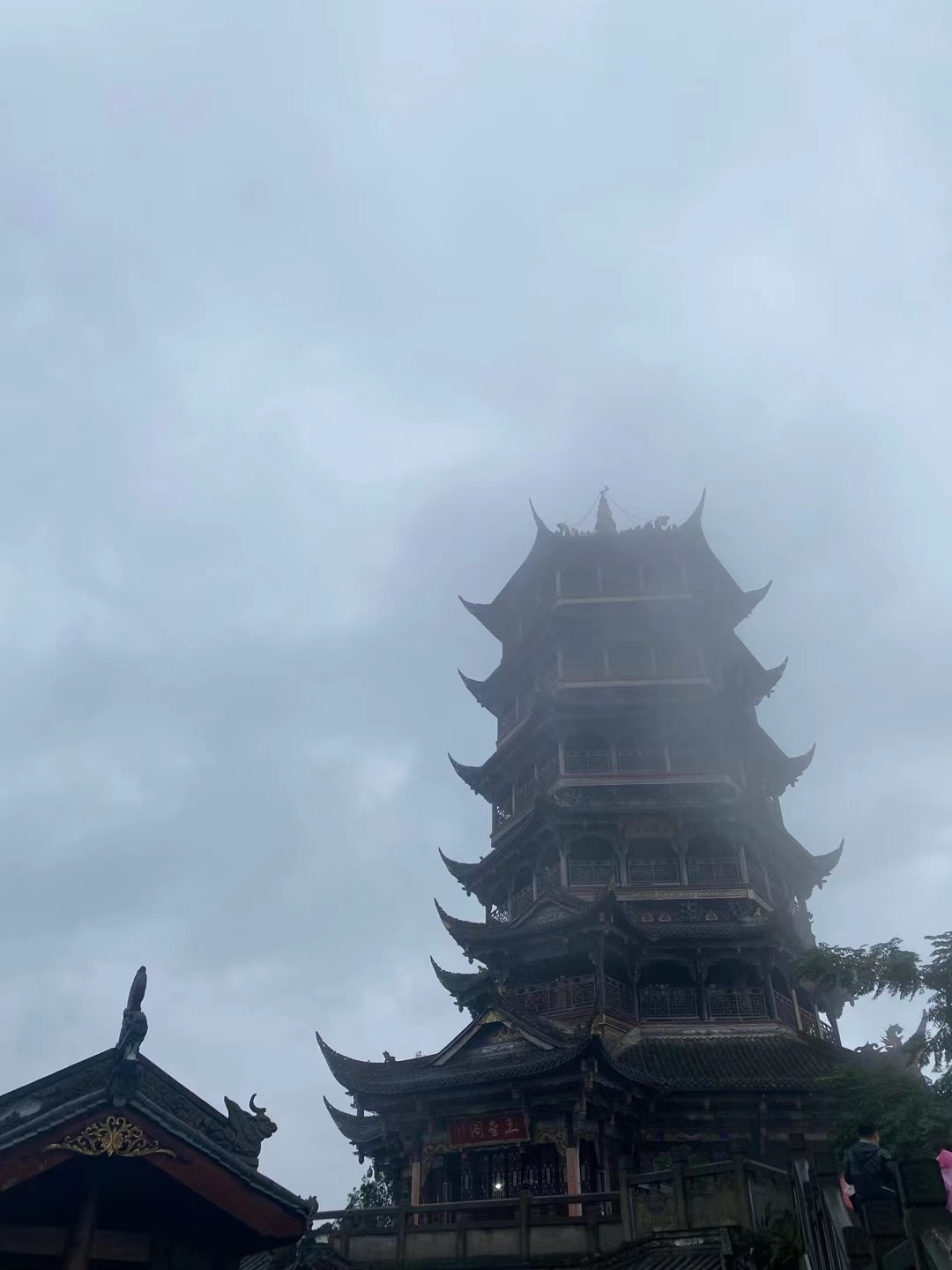 新得利(中国游)集团有限公司官网