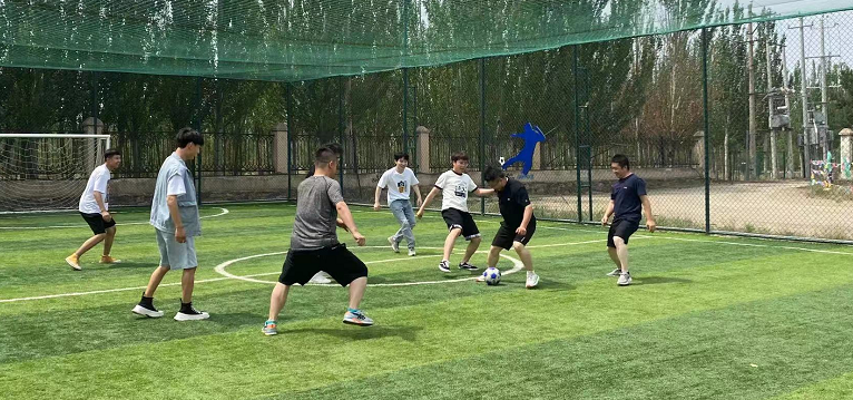 新得利(中国游)集团有限公司官网